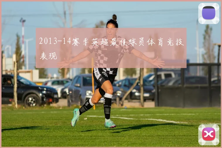 2013-14赛季英超最佳球员体育竞技表现